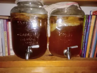Taller de Kombucha en Casa: Acompañamiento
