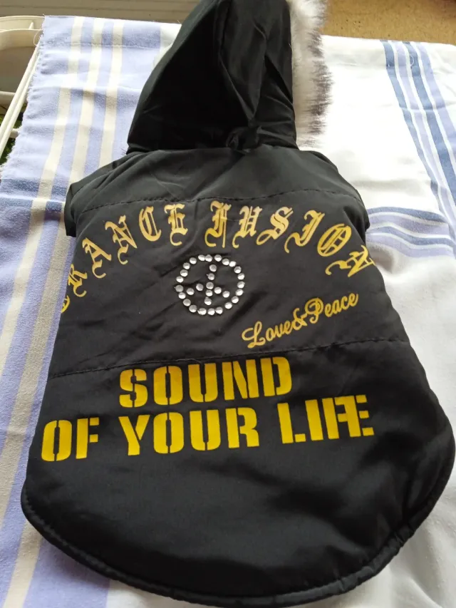 Traje para mascota pequeña