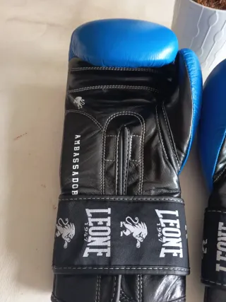 Guantes Boxeo Leone 16 oz Azul