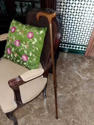 Baston extensible nuevo