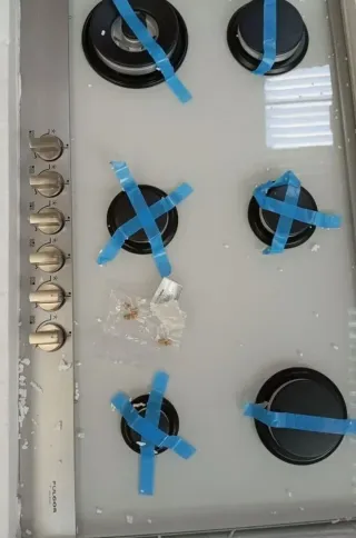 Fulgor Milano Placa de cocción a gas QLH 906 G