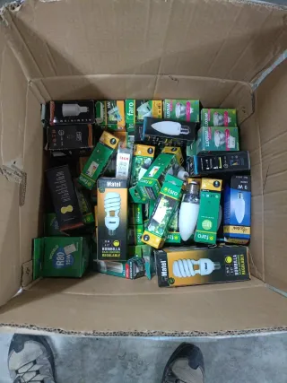 Lote Bombillas Fluorescencia y Halógenas