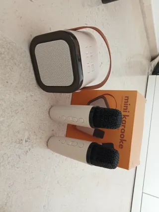 Mini Karaoke Natura con 2 Micrófonos