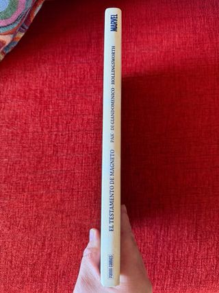 El Testamento De Magneto