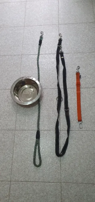 Correa y plato para perro