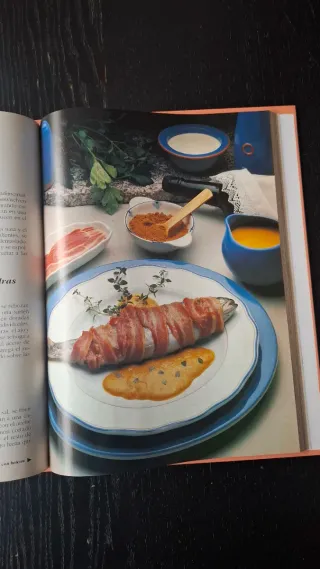 Gran enciclopedia de la cocina