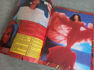 Tina Turner / Revista Rock De Lux no 5 / 1985