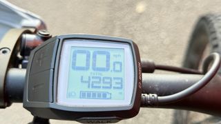 FOCUS SAM2 6.8 2021 Talla M Reacondicionada