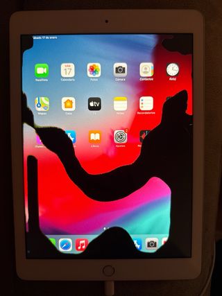iPad 2018 Blanco Pantalla Rota