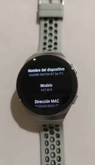 Smartwatch Huawei GT 2e Verde