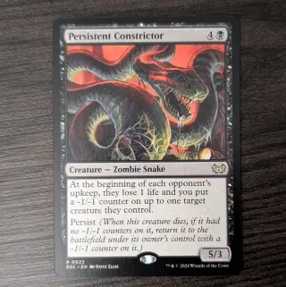 Persistent Constrictor