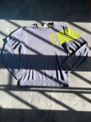 Felpa Emporio Armani EA7 Grigia
