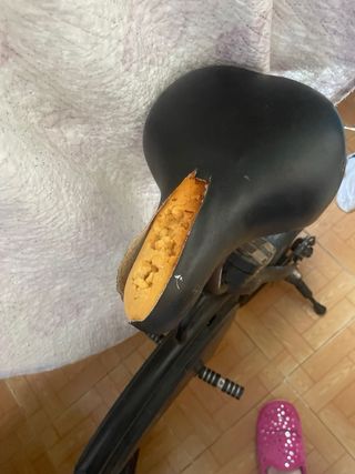 Bici Eléctrica Avedia