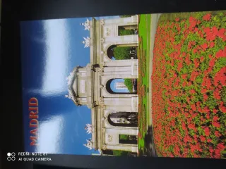 Lote Postales Madrid