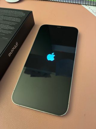 iPhone 12 Pro Max Blanco/Plateado