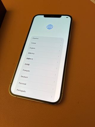 iPhone 12 Pro Max Blanco/Plateado