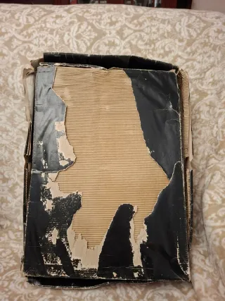 Botas Sendra nuevas, modelo 1918*.