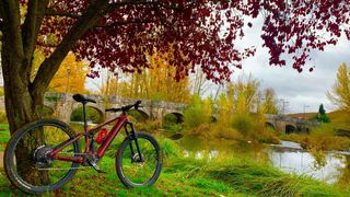 Norco Sight VLT 2021 Ebike Motor Nuevo ( Enero 26)