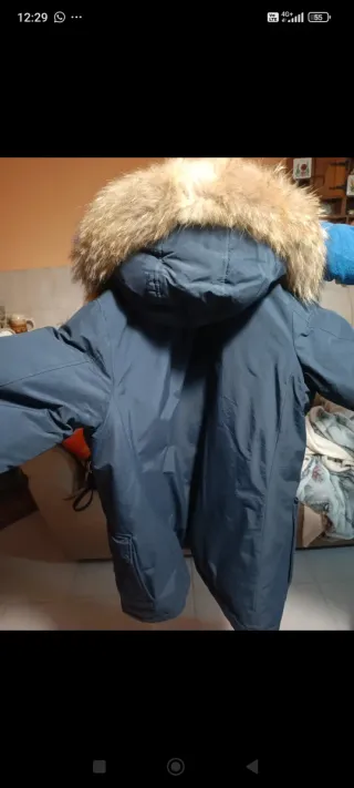 Giubbotto Freedomday Blu/Multicolor