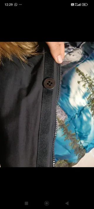 Giubbotto Freedomday Blu/Multicolor