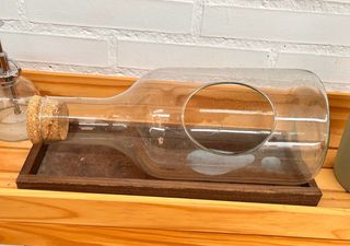 Terrario de Botella Cristal con Soporte de Madera