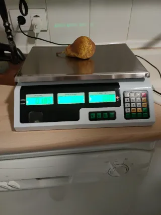 Báscula Electrónica Digital