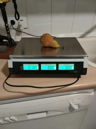 Báscula Electrónica Digital