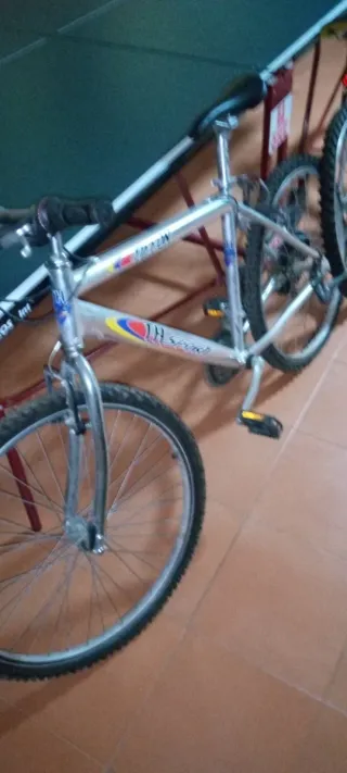 Bicicleta de Montaña Plata