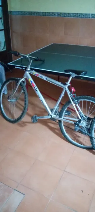 Bicicleta de Montaña Plata