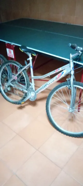 Bicicleta de Montaña Plata