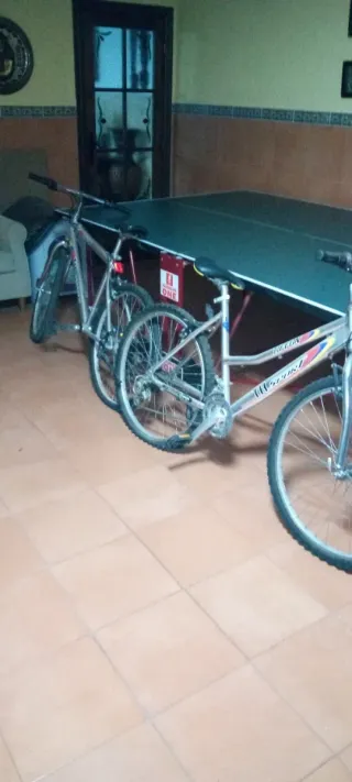 Bicicleta de Montaña Plata