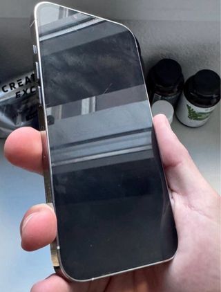 iPhone 13 Pro Blanco Plata