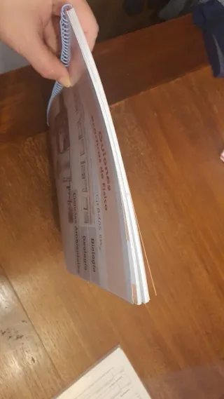 Guiones de Prácticas de Física.