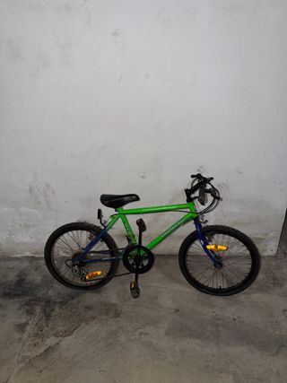 Bicicleta Montaña Shimano 12V