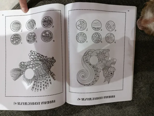 Libro de actividades para adolescentes: 180 Eni...