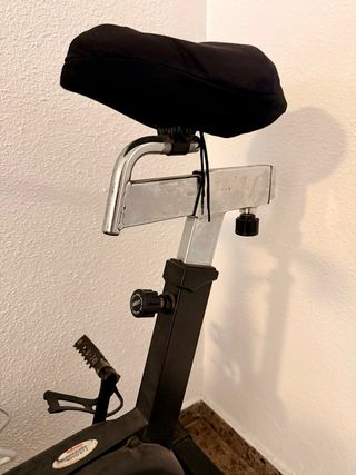 Bicicleta Spinning Whirly Doméstica