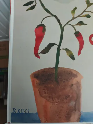 Miquel Barceló: carpeta de chinerías.