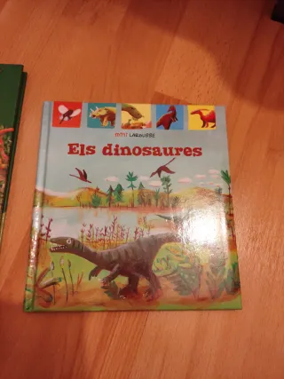 Llibres de dinosaure amb llanterna i mini Larousse