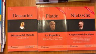 Nietzsche. Crepúsculo de los ídolos (Spanish Ed...