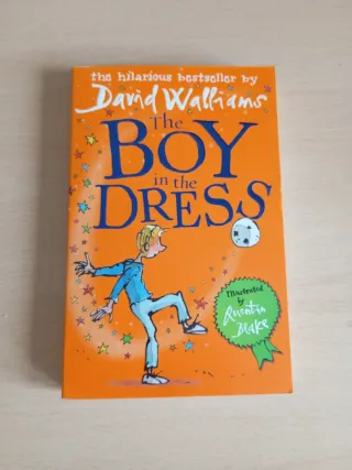 The Boy in the Dress