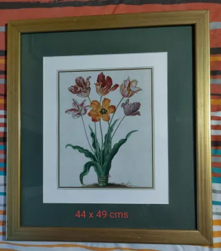 3 Cuadros de tulipanes 44x49 cm Lote de 3 cuadros.