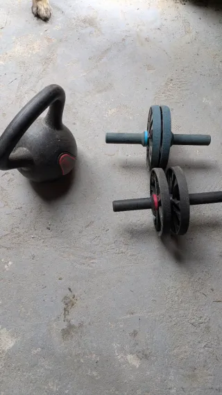 Pesa rusa y rodillos abdominales