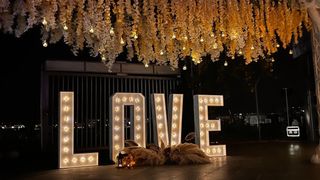 Letras LOVE decorativas luminosas