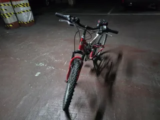 Bicicleta Montaña Ruedas 24