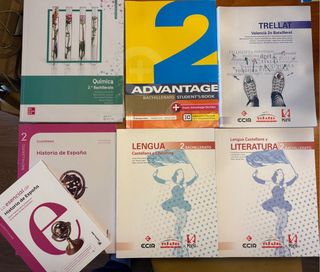 LENGUA CASTELLANA Y LITERATURA 2º BACH. (19)