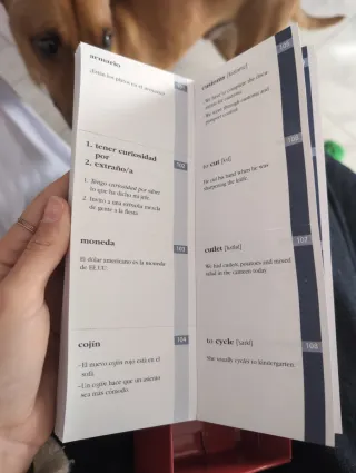 Vocabulario de inglés