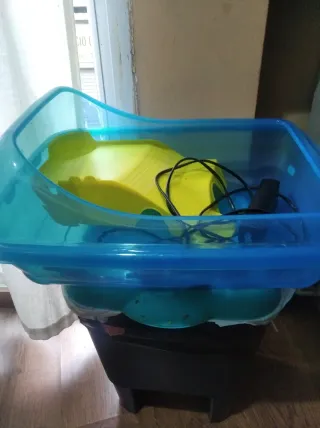 Pecera tortuga acuatica