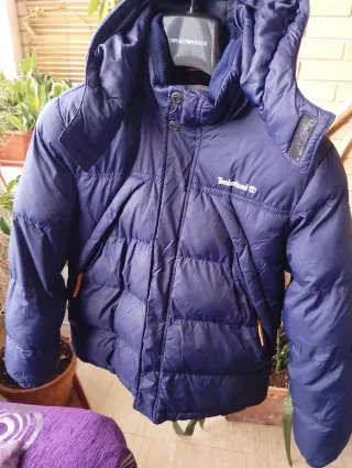 Chaqueta Timberland niño azul