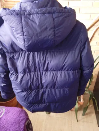 Chaqueta Timberland niño azul