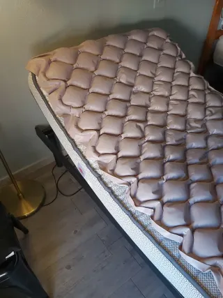 Cama Ortopédica Ajustable